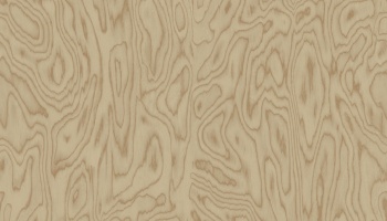 v6-35051-n