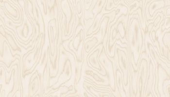 v6-35052-n_778426986