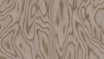 v6-35053-n_1558022875