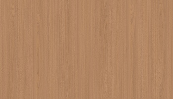 vt5-35009-n_162316778