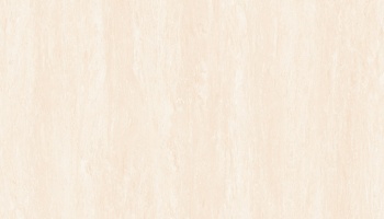 vt6-65017-ms_220872494
