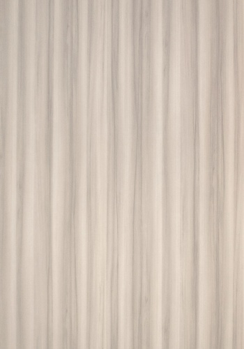 a9-4313-v_1193083325