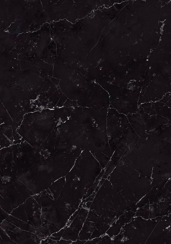 p1-8701-g_1737709122