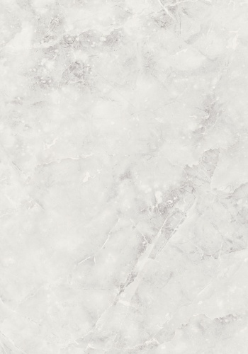 p1-8702-g_1582929377