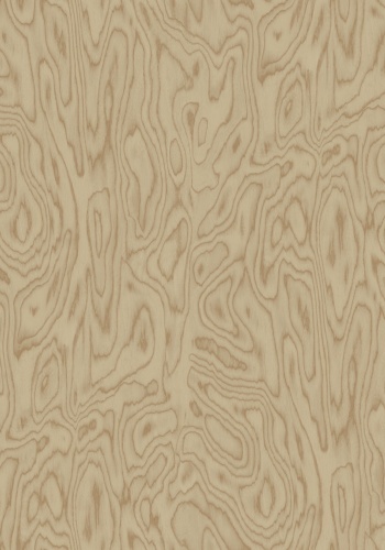 v6-35051-n